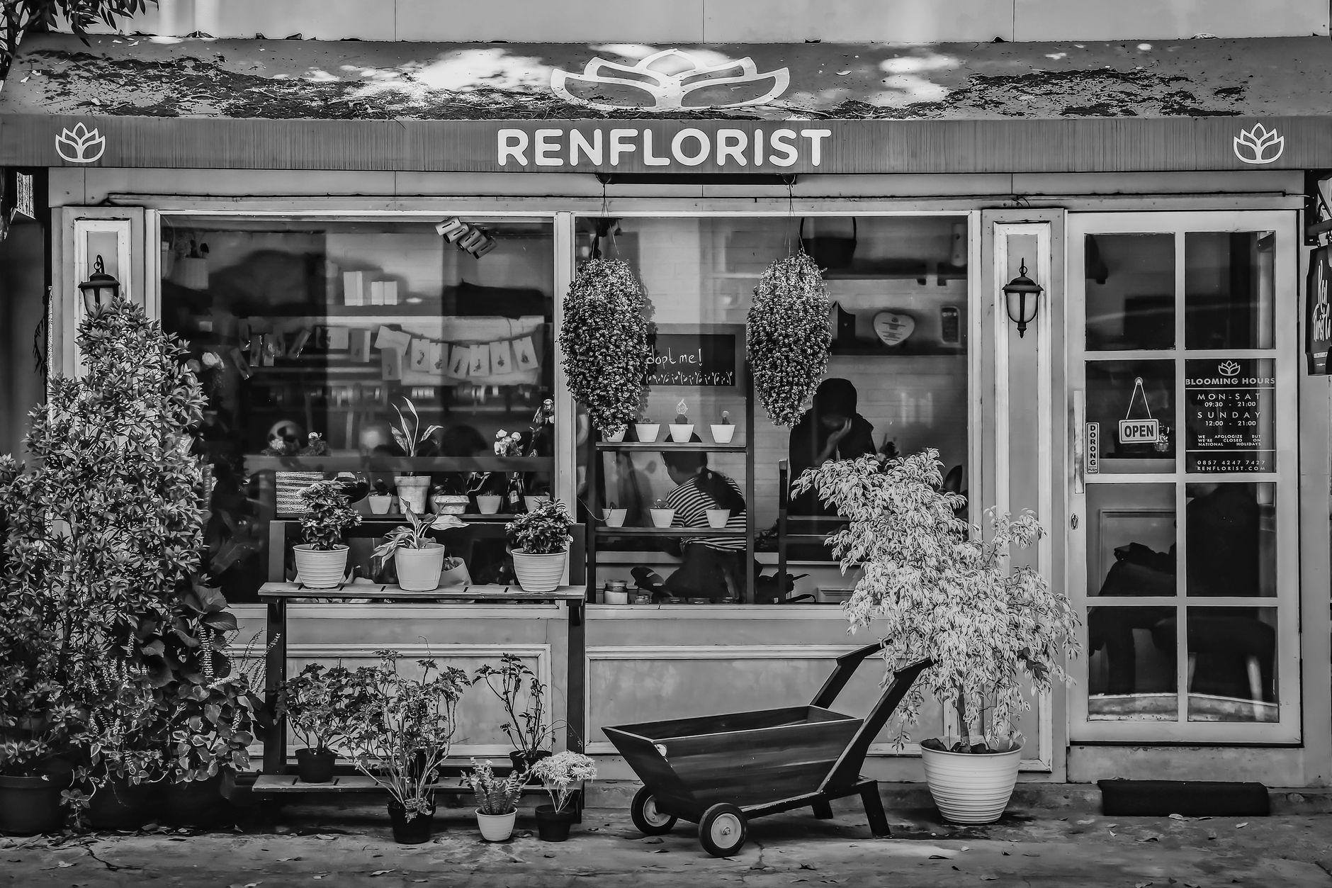 Fleuriste Cesson-Sévigné